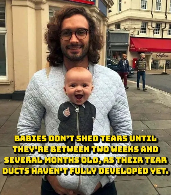 interestingfacts376_003
