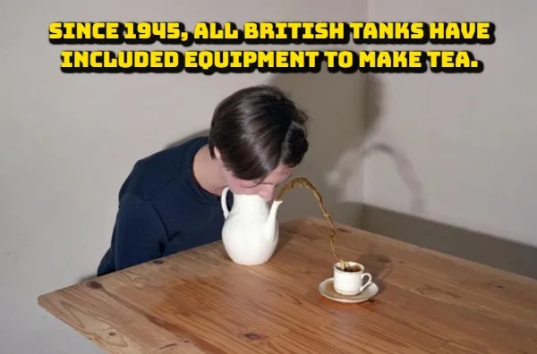 interestingfacts376_004