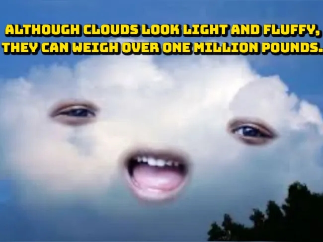 interestingfacts376_017