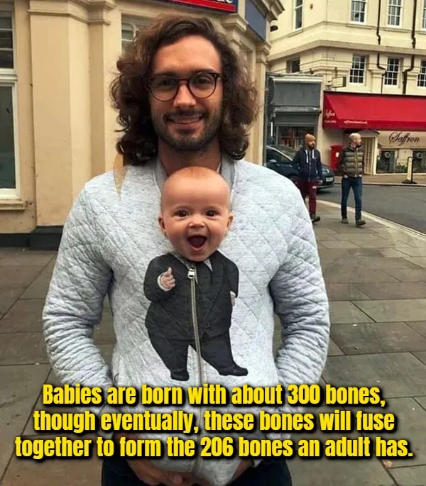 interestingfacts377_002