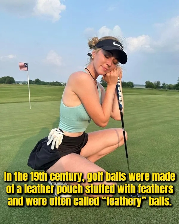 interestingfacts377_012