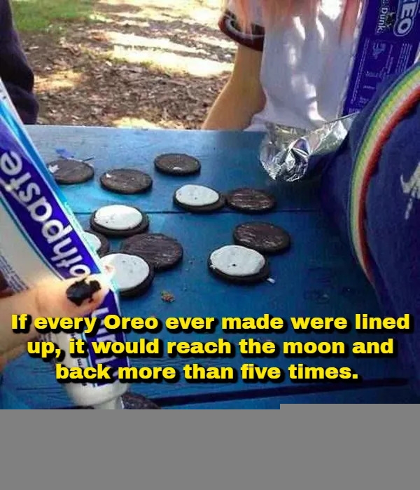 interestingfacts378_005