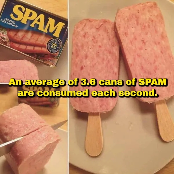 interestingfacts378_006