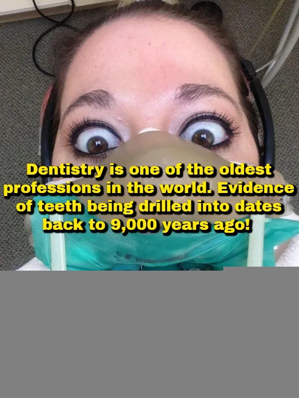 interestingfacts378_007