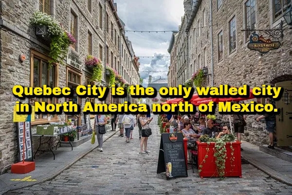 interestingfacts378_009