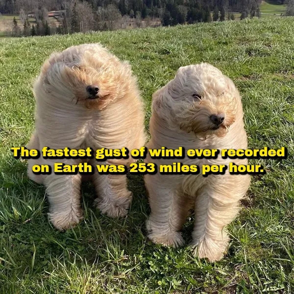 interestingfacts378_010