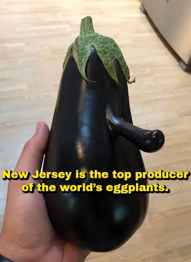 interestingfacts378_015