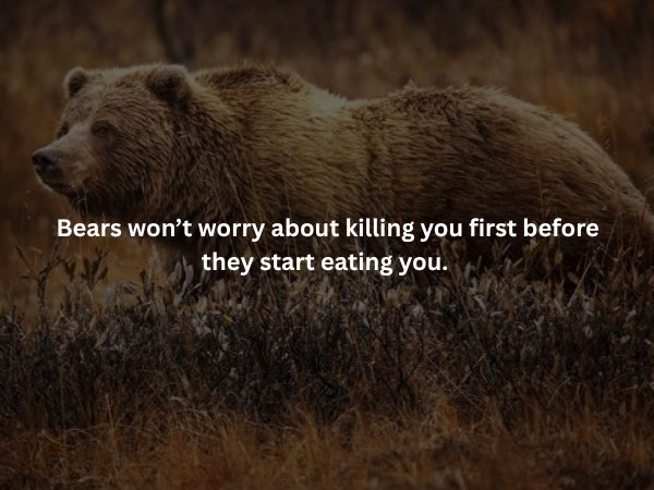 interestingfacts379_003