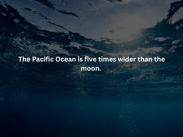 interestingfacts379_005