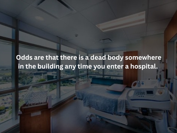 interestingfacts379_007