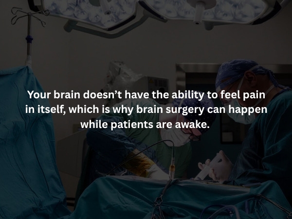 interestingfacts379_008