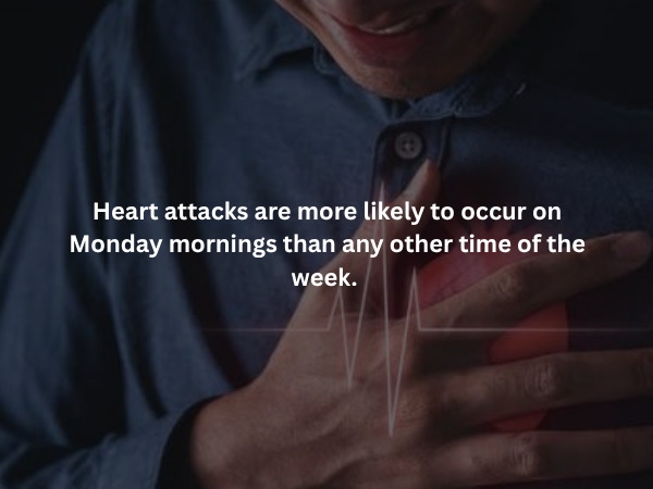 interestingfacts379_010