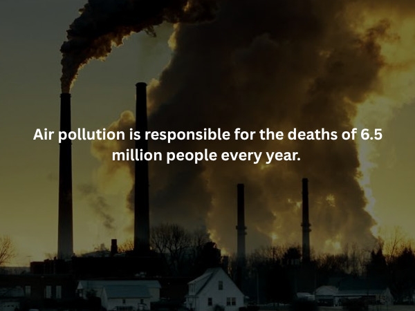 interestingfacts379_013