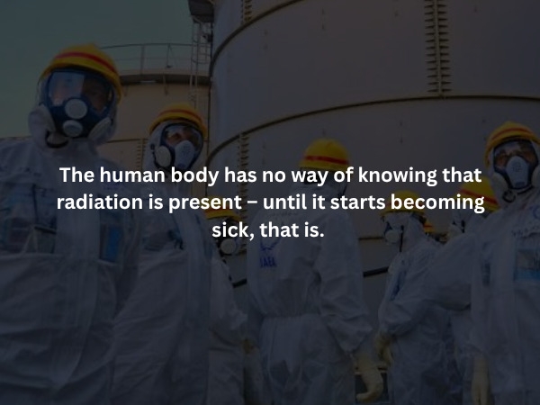 interestingfacts379_014