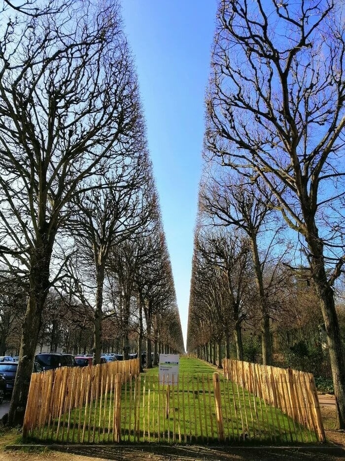 perfectphotos215_002