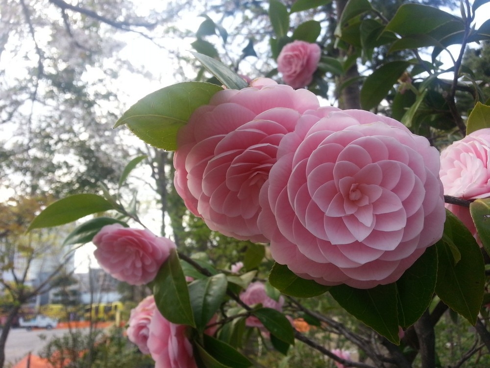 perfectphotos216_009