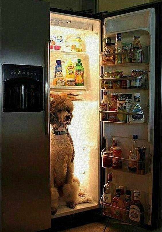 randompics2111_058 randompics2111_058