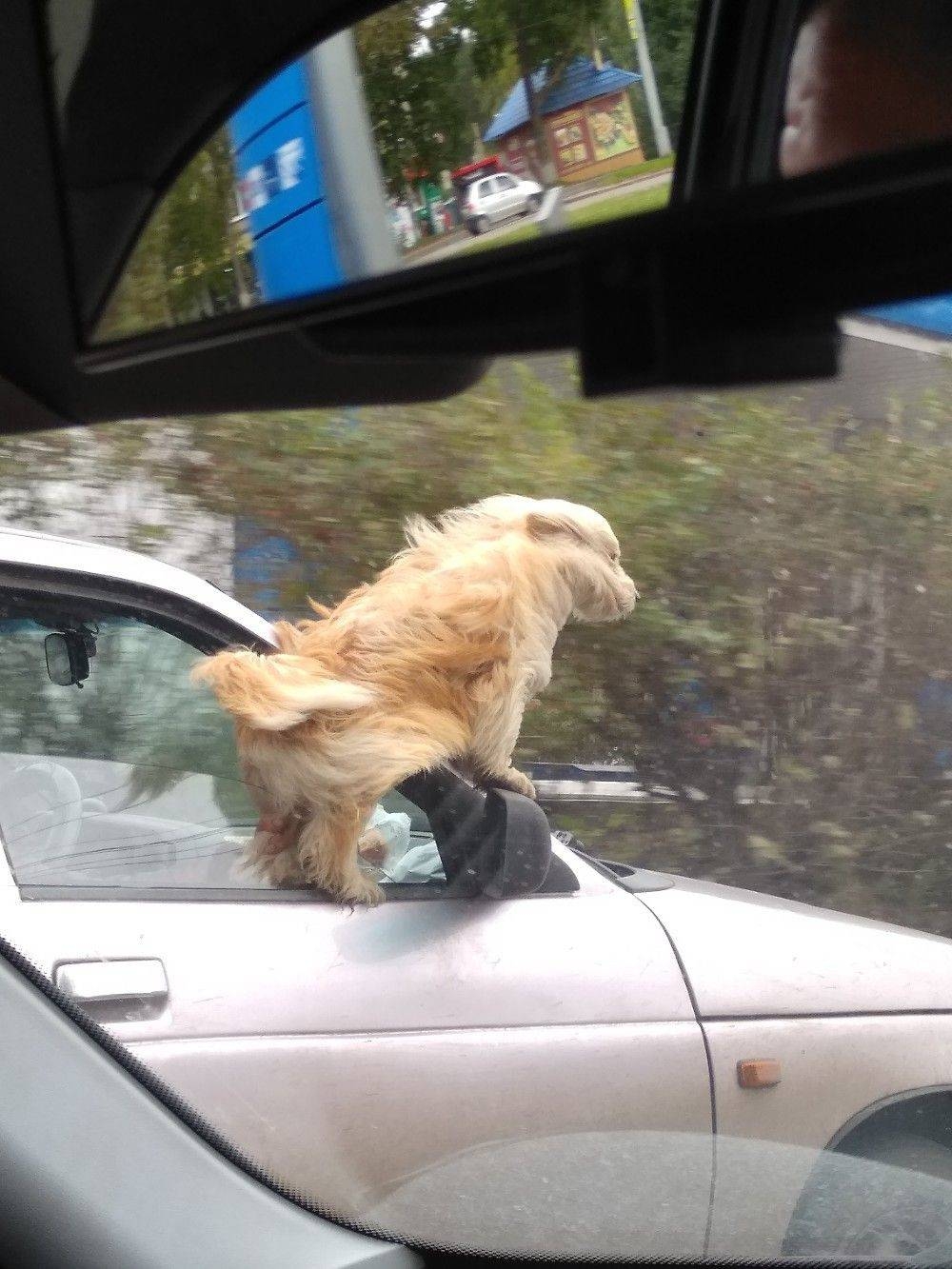 randompics2112_048 randompics2112_048