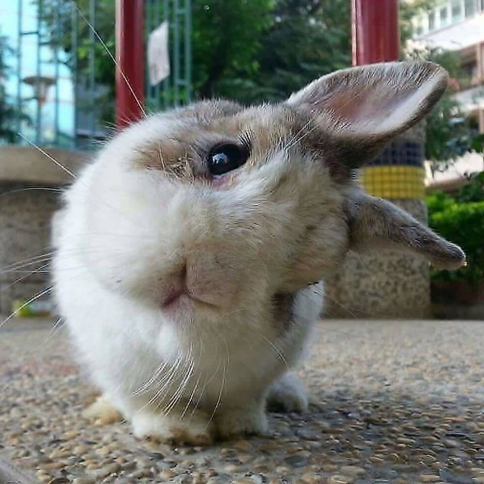 randompics2112_067 randompics2112_067