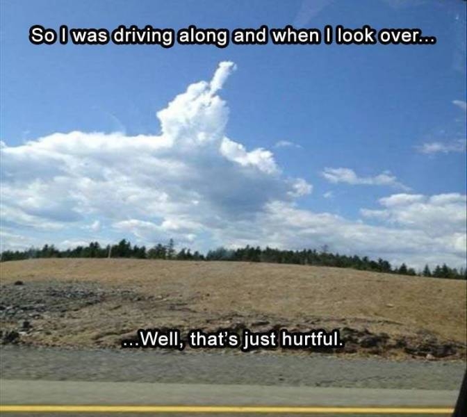 randompics2113_001 randompics2113_001