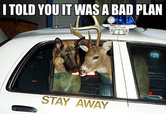 randompics2114_071