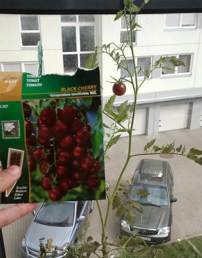 randompics2118_021 randompics2118_021
