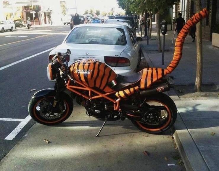 randompics2125_078 randompics2125_078