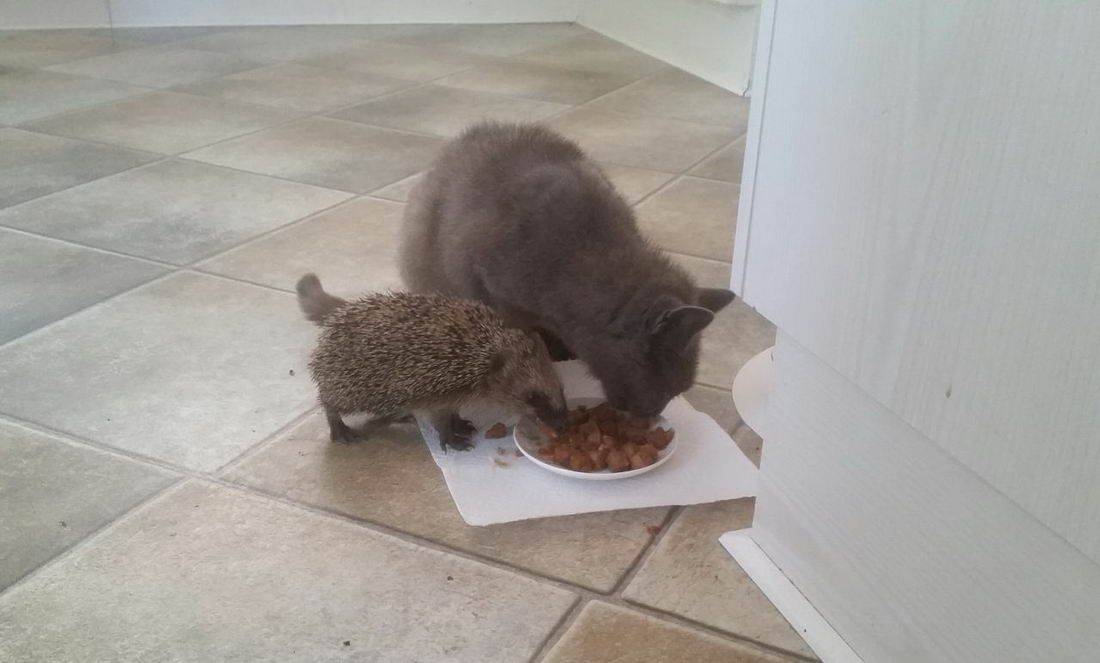 randompics2128_075