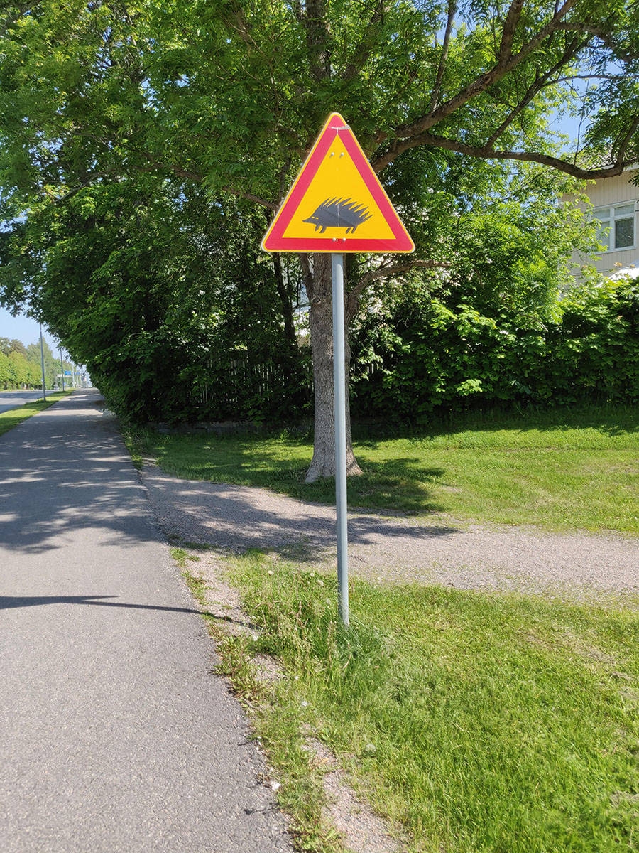 randompics2134_047