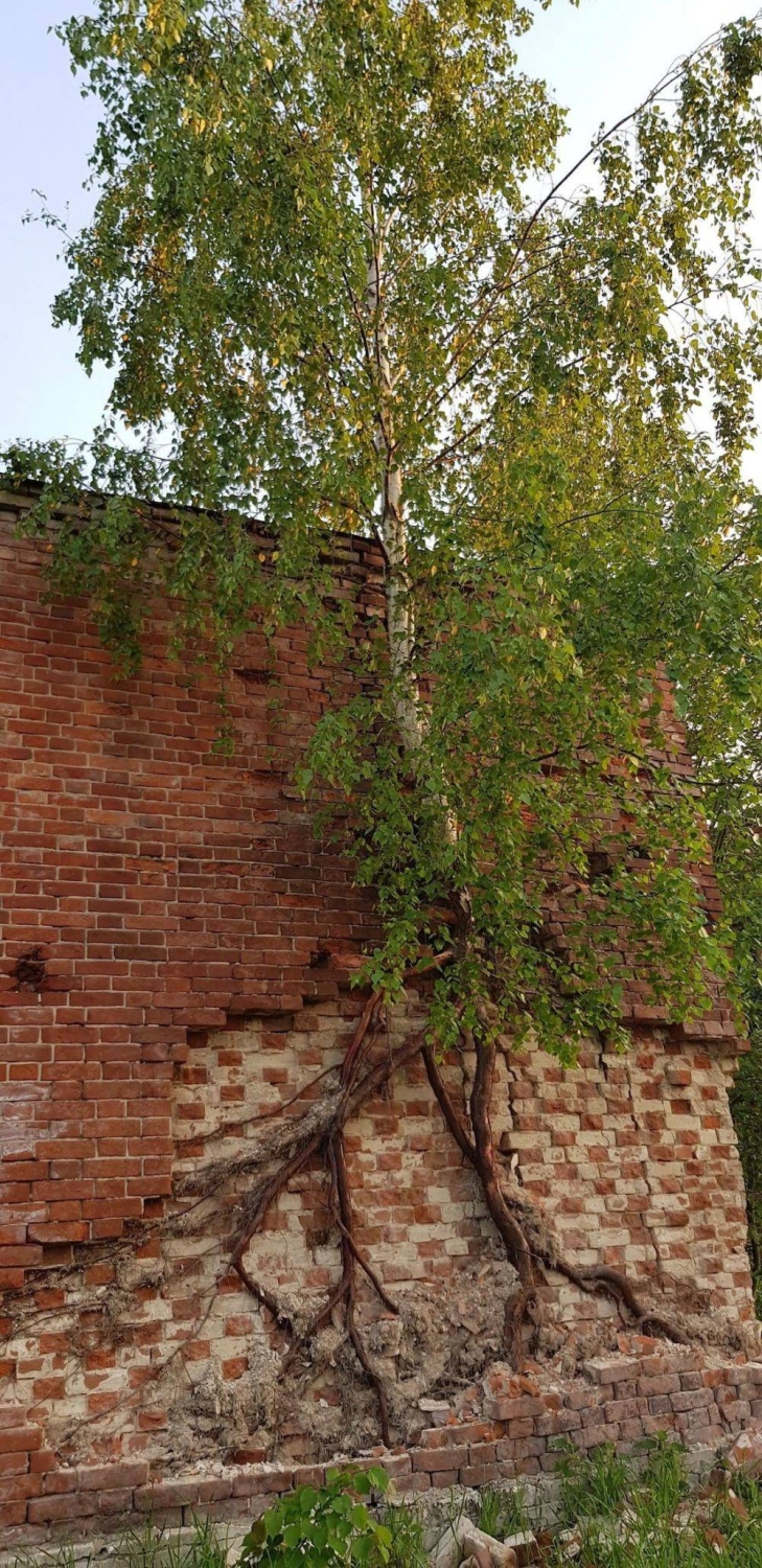 randompics2134_061 randompics2134_061