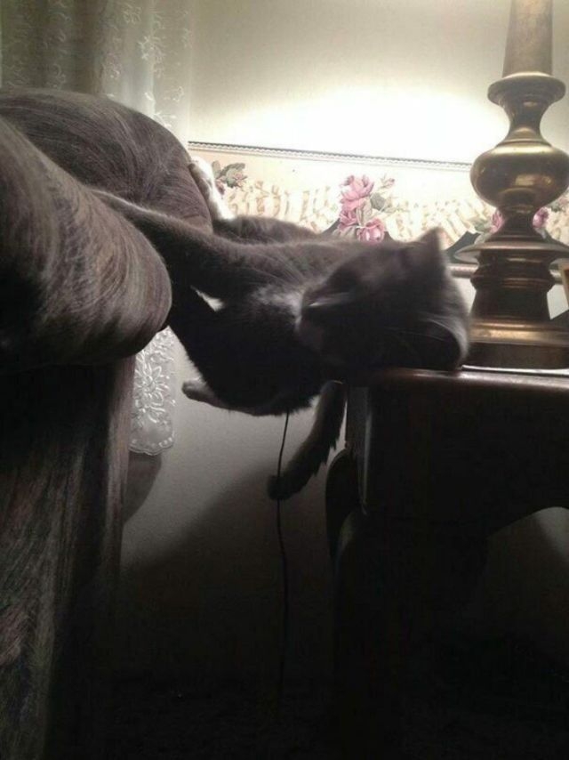 randompics2135_017