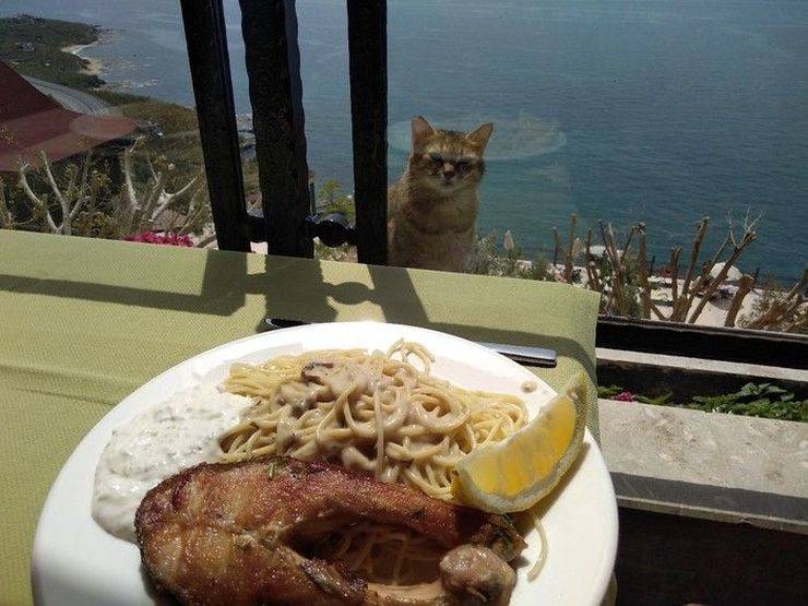 randompics2137_010 randompics2137_010
