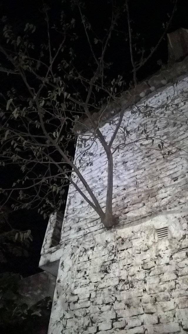 randompics2137_015 randompics2137_015