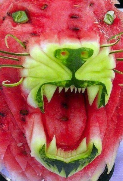 randompics2137_073 randompics2137_073