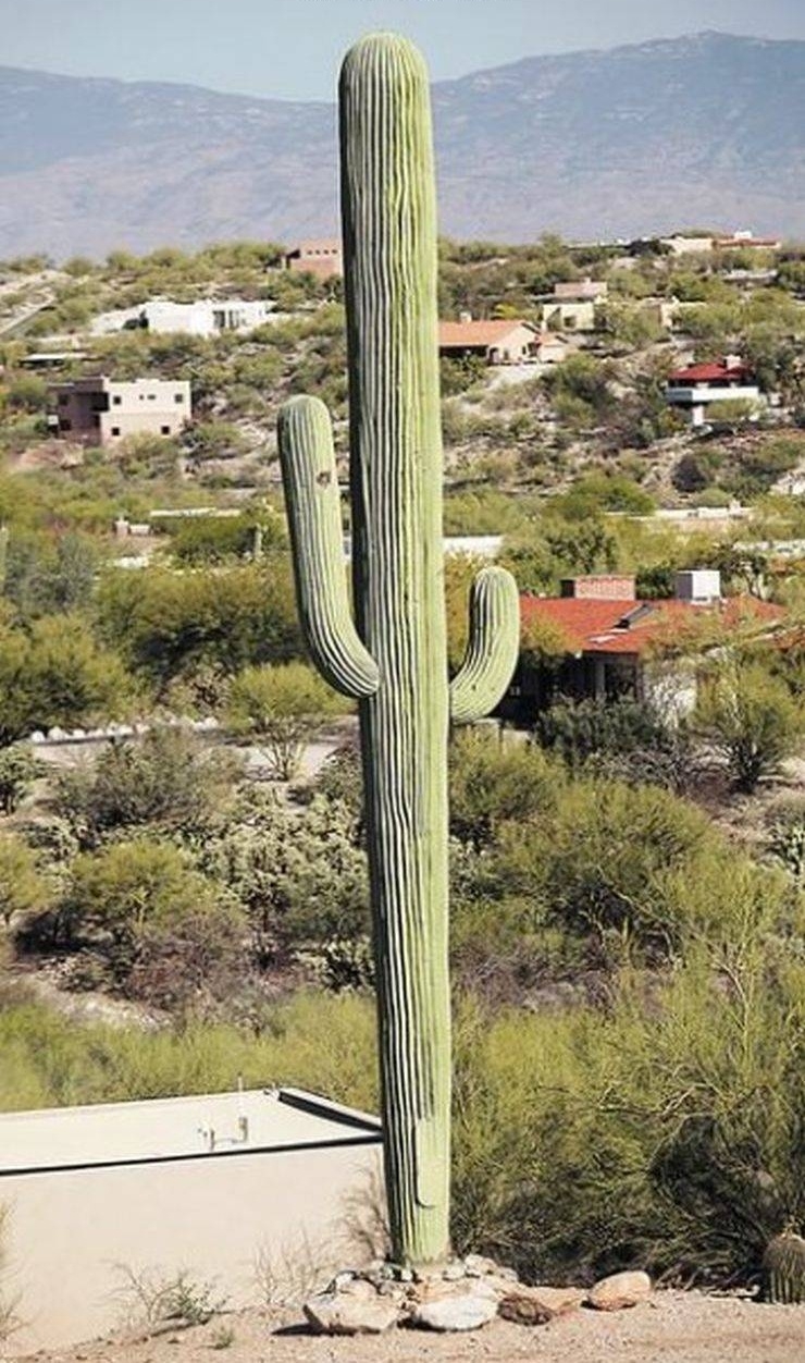 randompics2142_009 randompics2142_009
