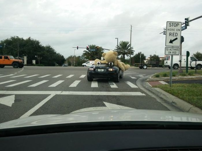 randompics2143_049 randompics2143_049