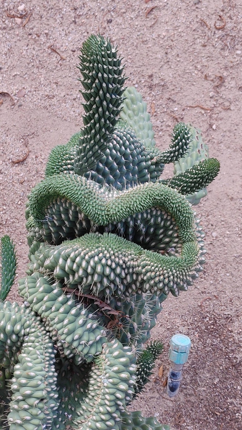 randompics2144_002 randompics2144_002