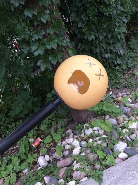 randompics2146_011