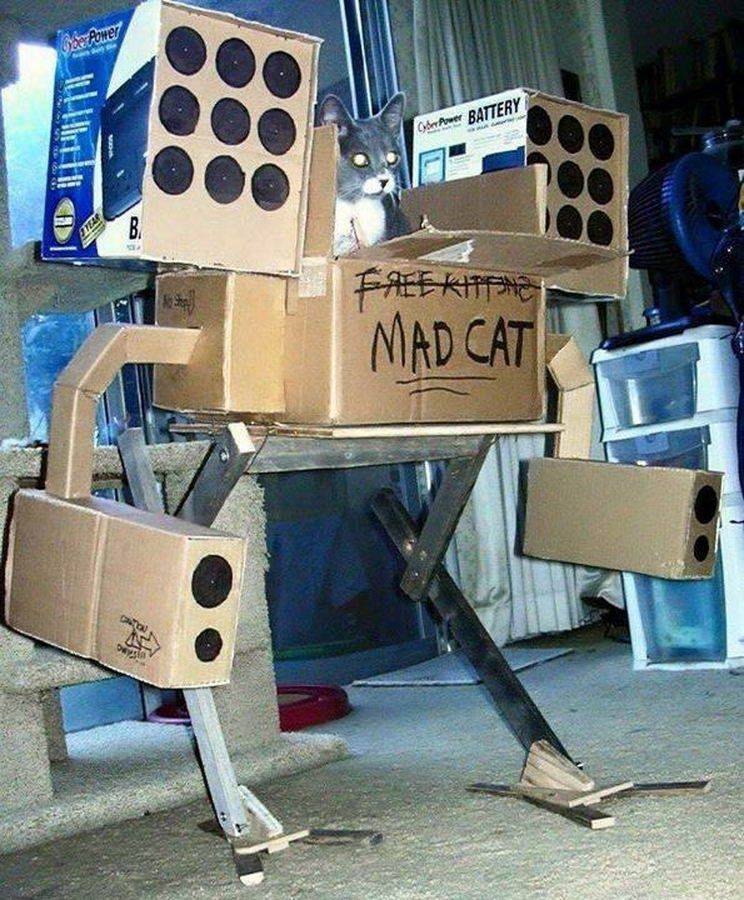 randompics2148_041