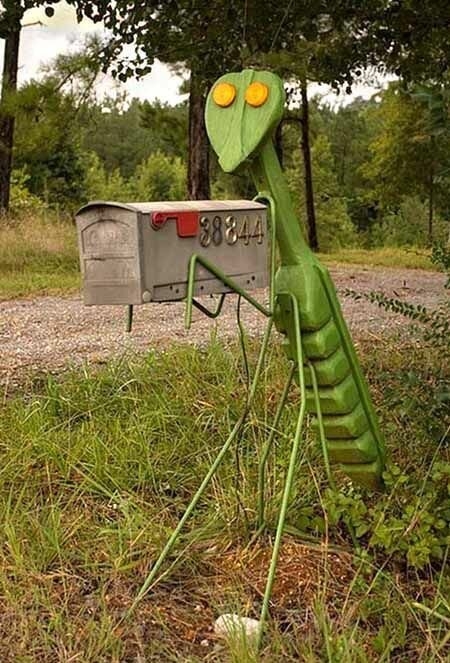 randompics2149_012