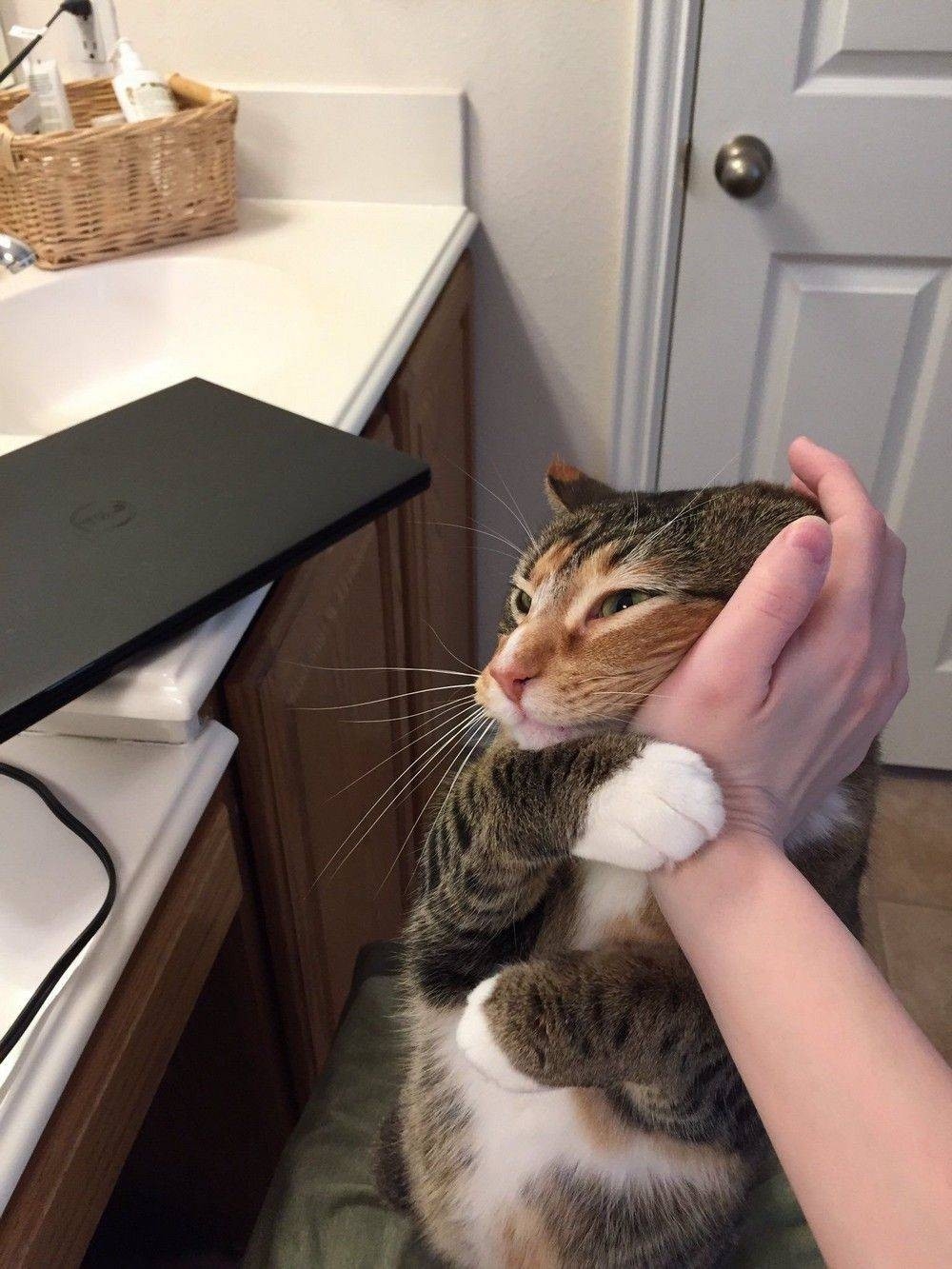 randompics2150_036 randompics2150_036