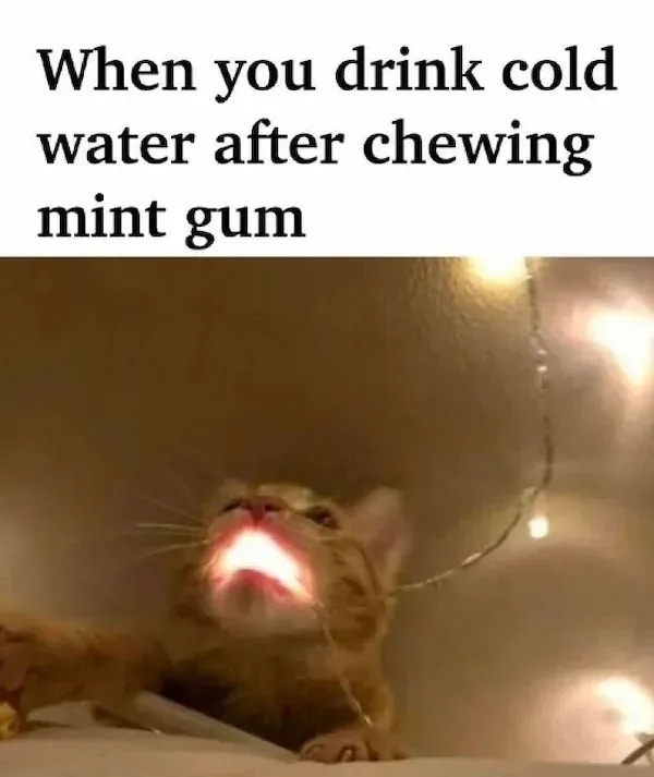 truememes77_018