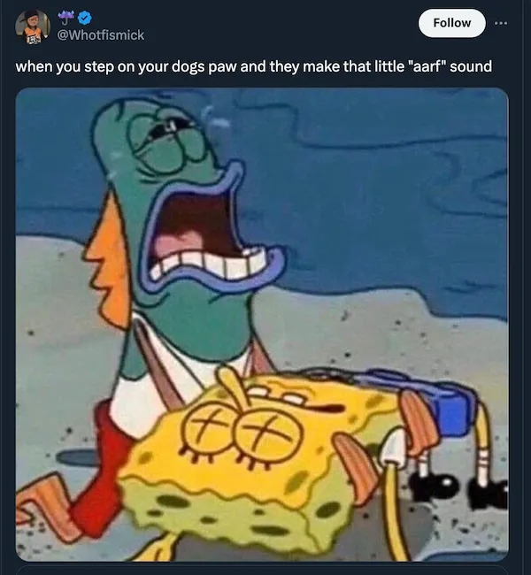 truememes77_023