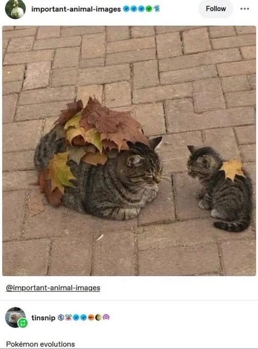 truememes77_035