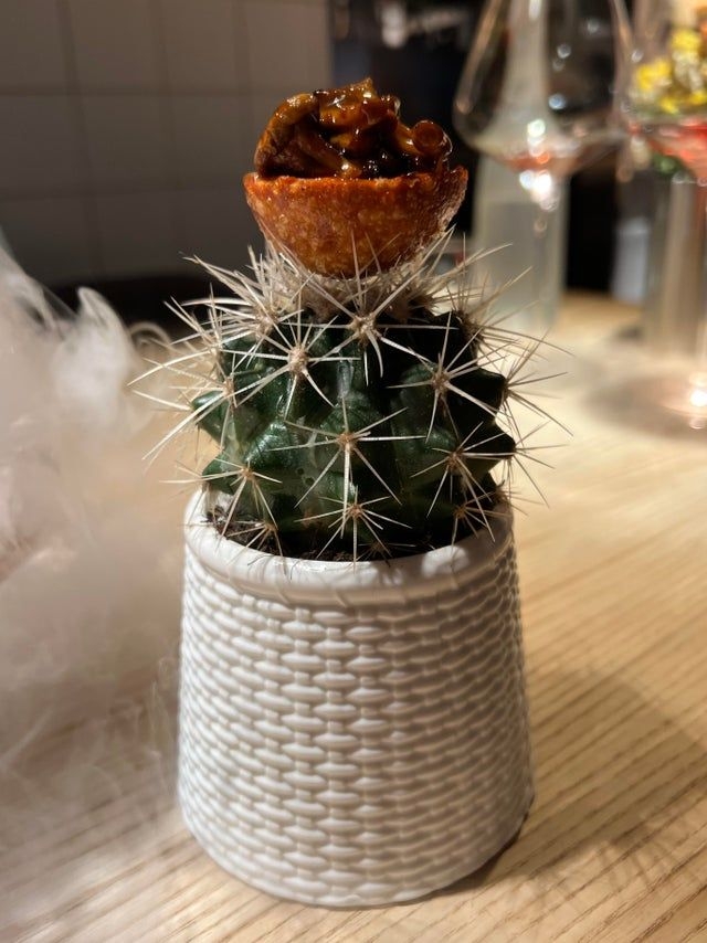 weirdfood22_039
