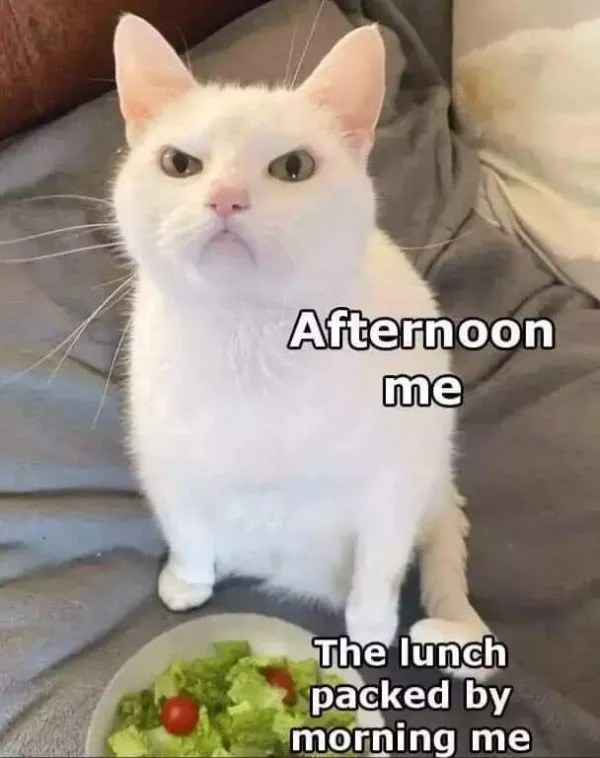 workmemes57_038