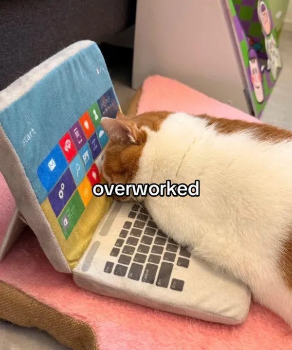 workmemes58_010