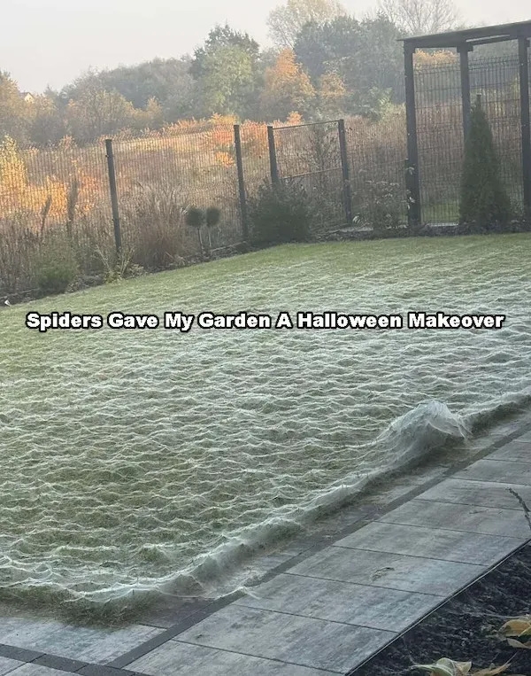 creepytoys9_029