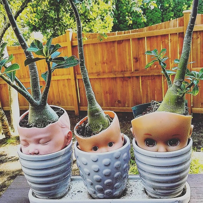diyprojects27_046