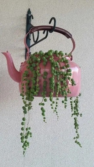 diyprojects28_023